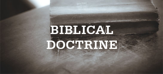 Open Bible with highlighted notes and Scripture study
