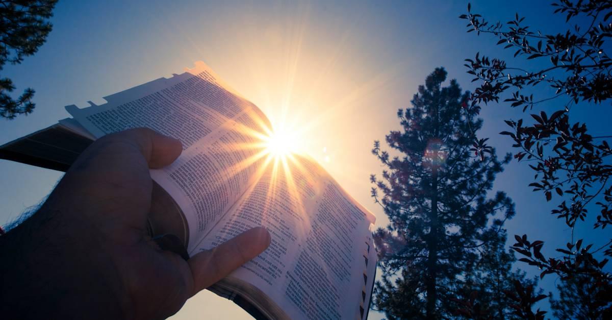 Person holding a Bible toward the sunlight representing Christian living, faith, obedience, and walking with God